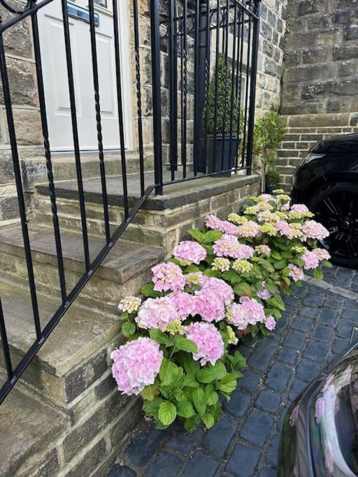 Ilkley Garden Suite Ngoại thất bức ảnh