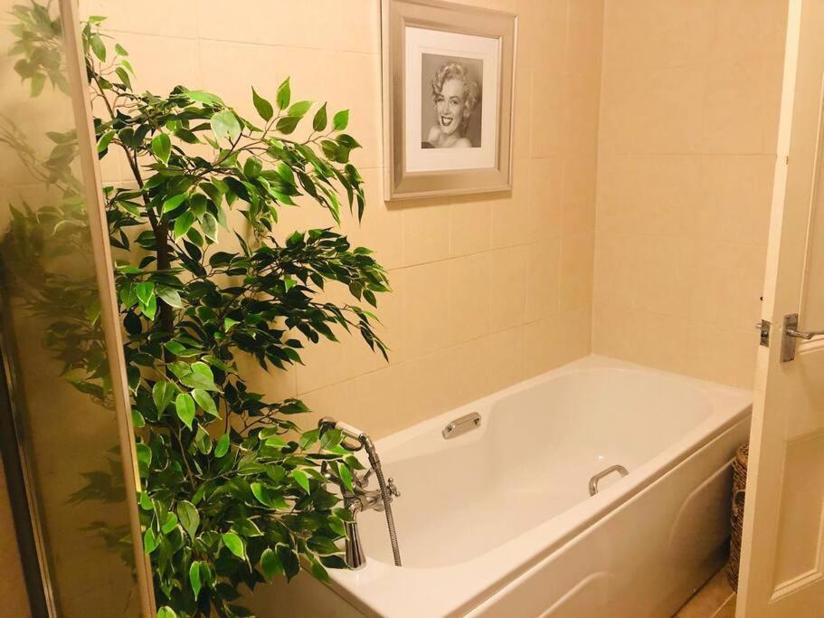 Ilkley Garden Suite Ngoại thất bức ảnh